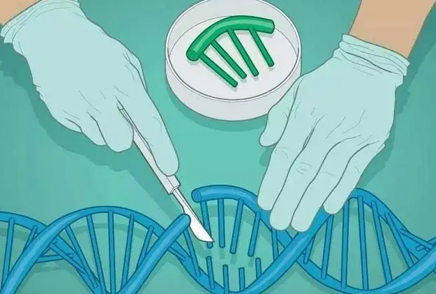 第三代试管婴儿可以检测所有的遗传疾病吗？