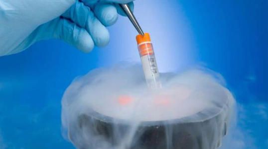 导致小型试管婴儿胚胎卵泡发育不良的因素有哪些？哪些食物可以提高鸡蛋质量？